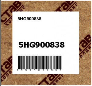 5HG900838