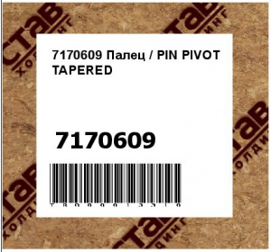 7170609 Палец / PIN PIVOT TAPERED