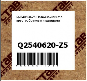 Q2540620-Z5 Потайной винт с крестообразными шлицами