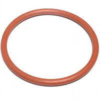 R520928 Уплотнительное  кольцо