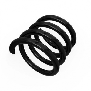 R215765 Пружина  сжатия