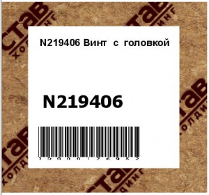 N219406 Винт  с  головкой