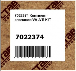 Комплект клапанов/VALVE KIT