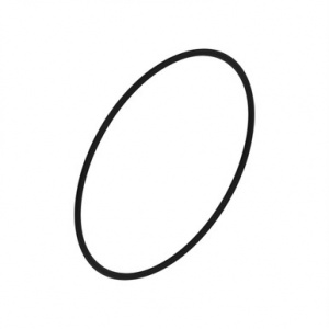 F37020154 Уплотнительное  кольцо