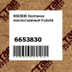 6653830 Колпачок маслосъемный Kubota