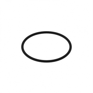 R77673 Уплотнительное  кольцо