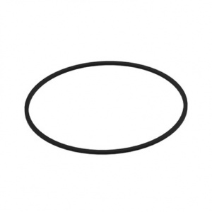 R205570 Сальник