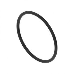 N205682 Уплотнительное  кольцо