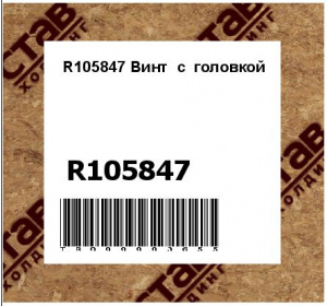 R105847 Винт  с  головкой