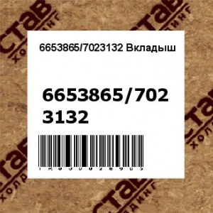 6653865/7023132 Вкладыш