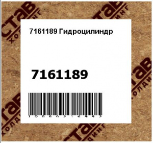 Гидроцилиндр