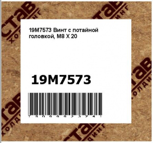 19M7573 Винт с потайной головкой, M8 X 20