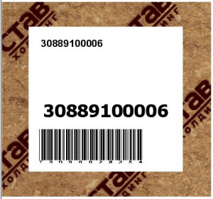30889100006