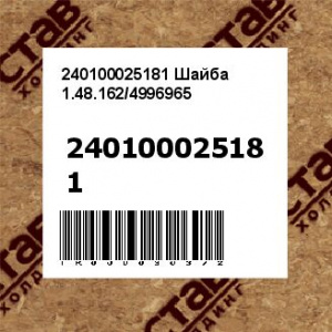 240100025181 Шайба 1.48.162/4996965