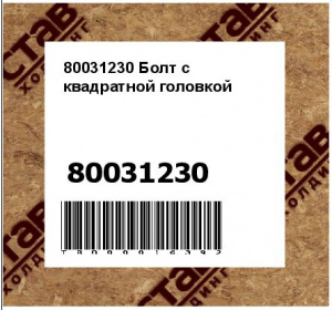 80031230 Болт с квадратной головкой