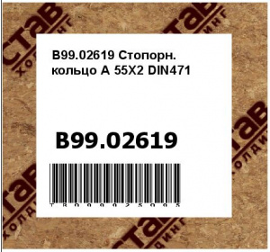 B99.02619 Стопорн. кольцо А 55Х2 DIN471