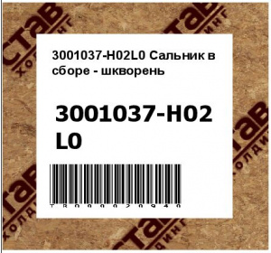 3001037-H02L0 Сальник в сборе - шкворень