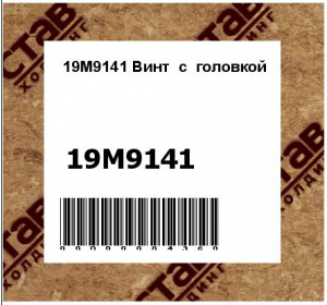 19M9141 Винт  с  головкой