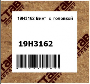 19H3162 Винт  с  головкой