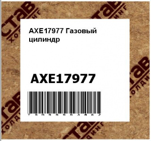 AXE17977 Газовый  цилиндр