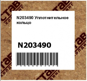 N203490 Уплотнительное  кольцо