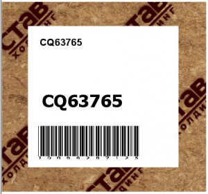 CQ63765