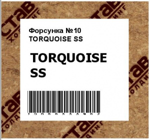 Форсунка №10 TORQUOISE SS