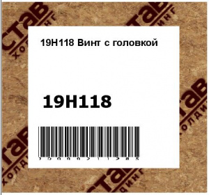 19H118 Винт с головкой
