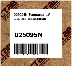 025095N Радиальный шарикоподшипник