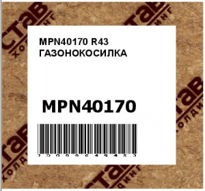 R43 ГАЗОНОКОСИЛКА