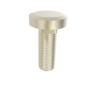 R116541 Колесный  болт