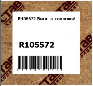 R105572 Винт  с  головкой