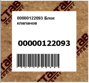 00000122093 Блок клапанов