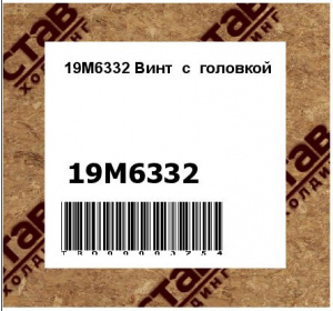 19M6332 Винт  с  головкой