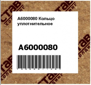 A6000080 Кольцо уплотнительное