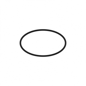 RE301818 Сальник