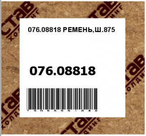 076.08818 РЕМЕНЬ,Ш.875