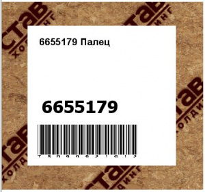 6655179 Палец