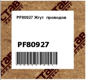 PF80927 Жгут  проводов