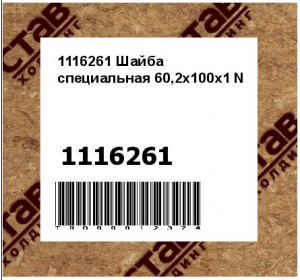 1116261 Шайба специальная 60,2x100x1 N
