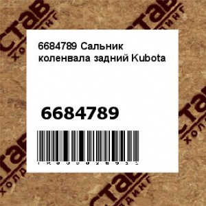 6684789 Сальник коленвала задний Kubota