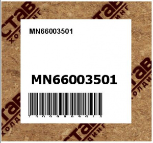MN66003501