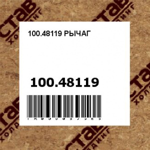 100.48119 РЫЧАГ