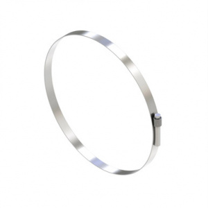 AH217908 Шланговый  зажим