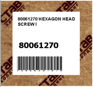 HEXAGON HEAD SCREW I