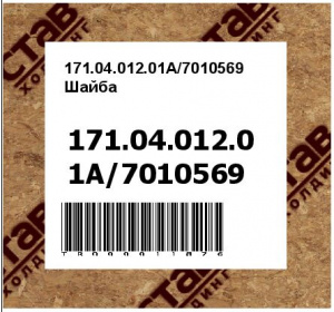 171.04.012.01A/7010569 Шайба