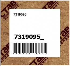7319095