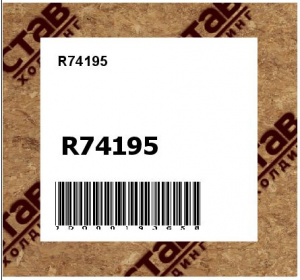 R74195