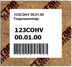 123COHV 00.01.00 Гидроцилиндр 