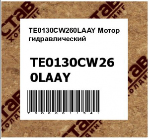 TE0130CW260LAAY Мотор гидравлический 